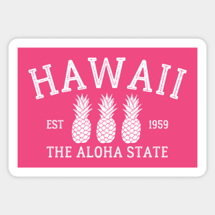 Hawaii State Sticker